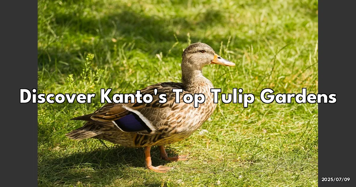 EyeCatchTitle: Chasing Tulip Dreams in Kanto: A Personal Journey Through the Best Blooms