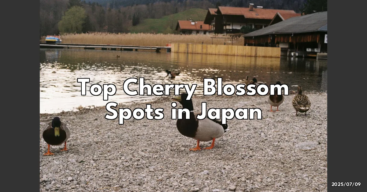 EyeCatchTitle: Cherry Blossom Wonderland in Japan: The Top Spots You Can't Miss!
