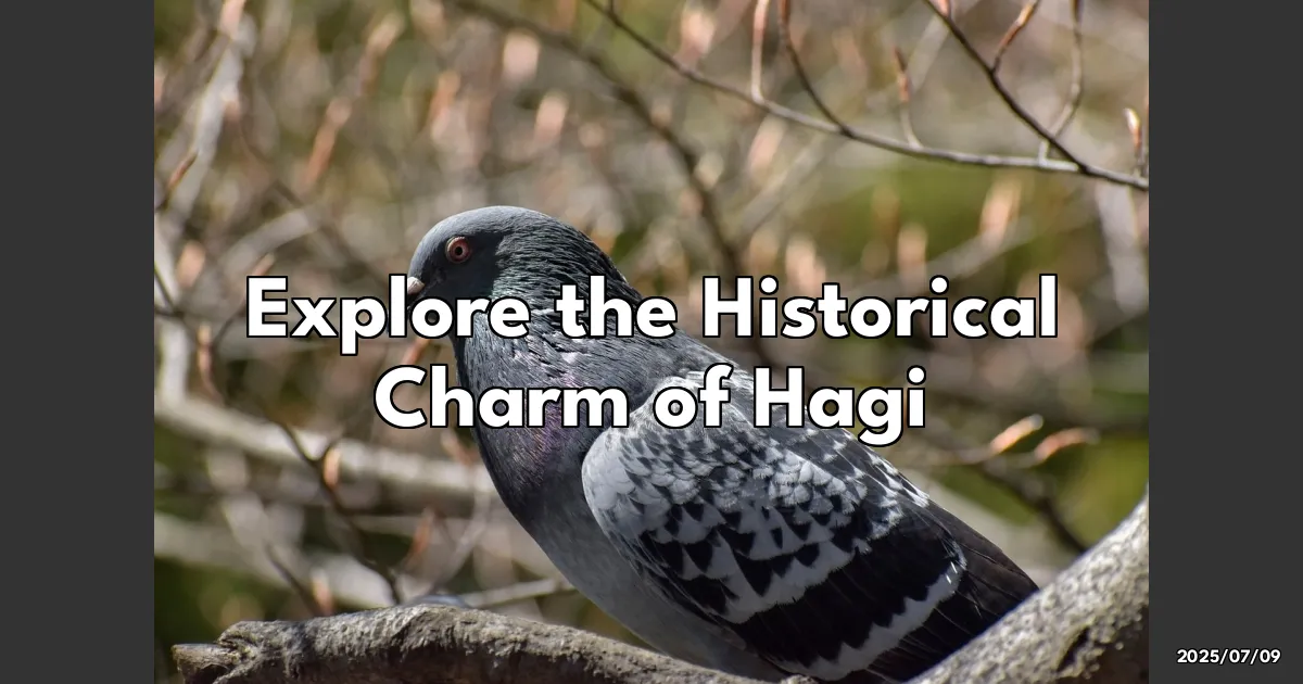 EyeCatchTitle: Wandering the Timeless Streets of Hagi: A Journey Back in Time