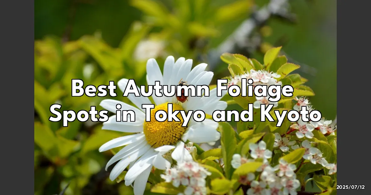 EyeCatchTitle: Chasing Autumn Colors: A Personal Journey Through Tokyo and Kyoto's Best Spots