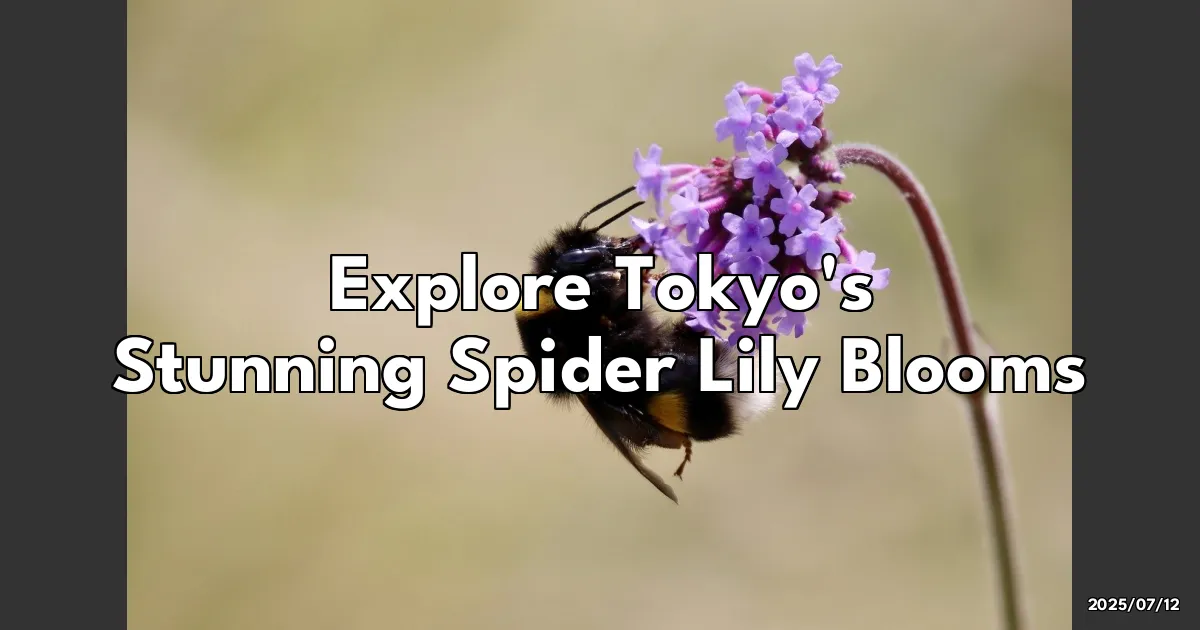 EyeCatchTitle: Fall in Love with Tokyo's Mesmerizing Spider Lilies!