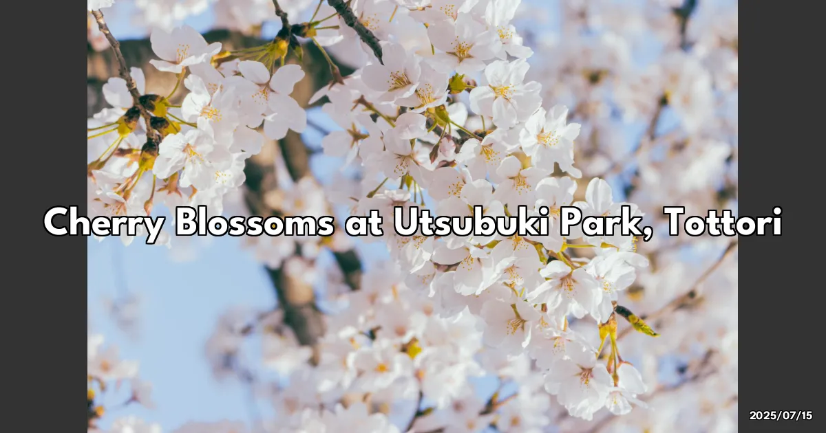EyeCatchTitle: Discovering Sakura Magic in Tottori's Utsubuki Park: A Springtime Dream