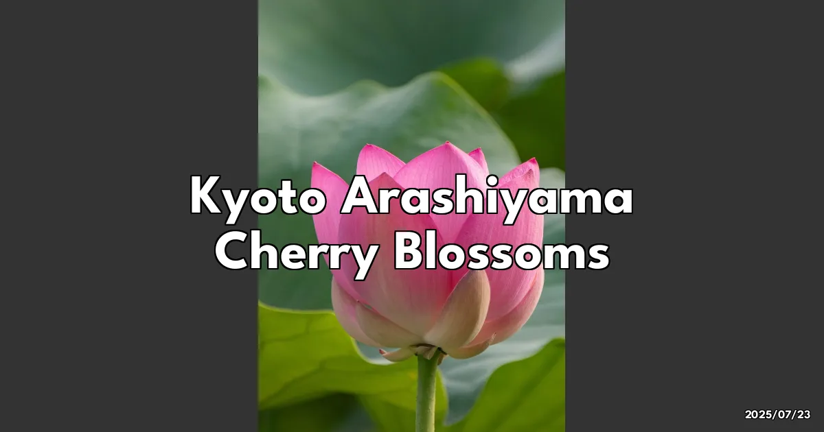 EyeCatchTitle: Discover the Magic of Kyoto's Arashiyama Cherry Blossoms - A Springtime Dream!