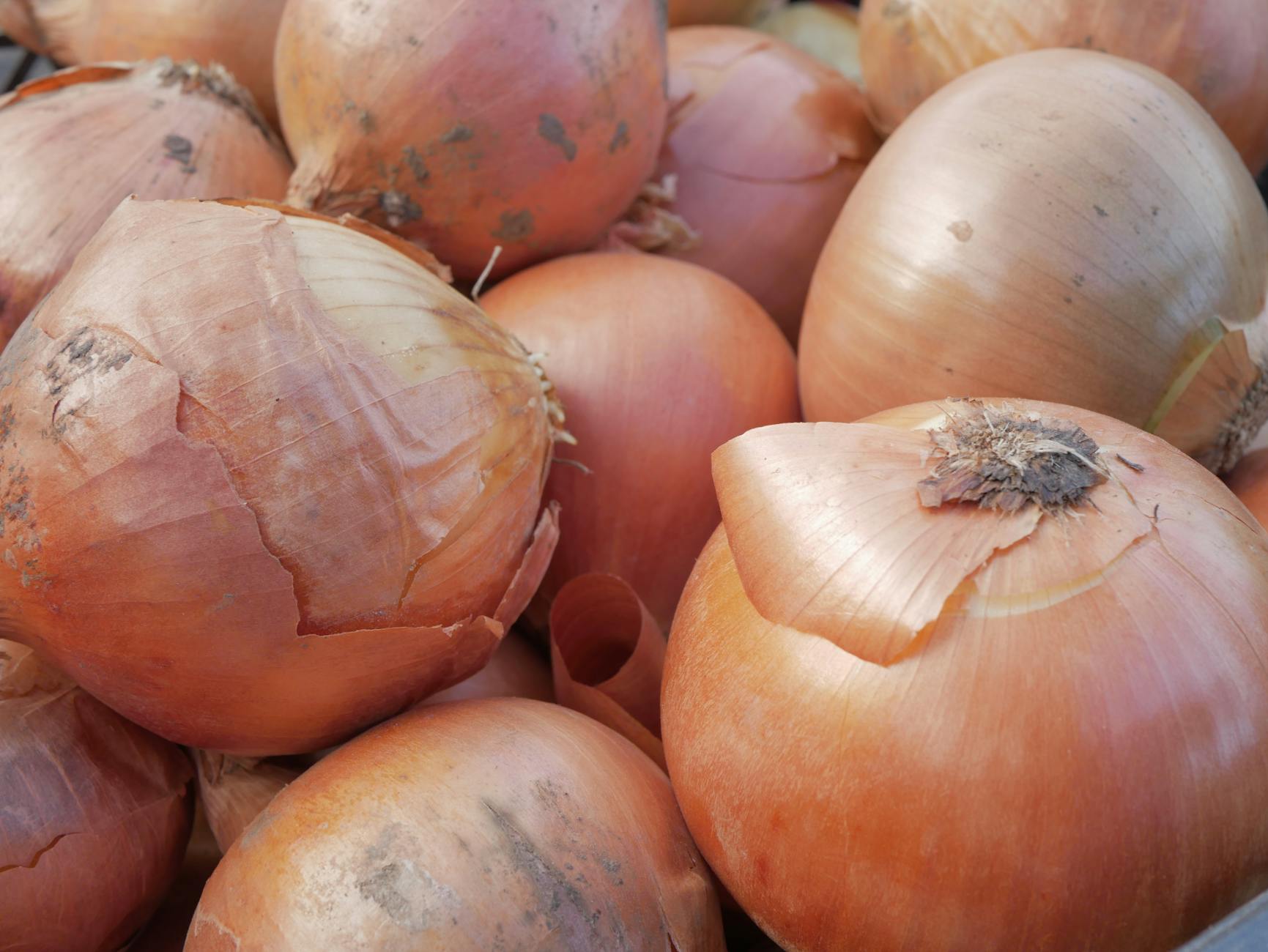 Nikko, local food, family dining