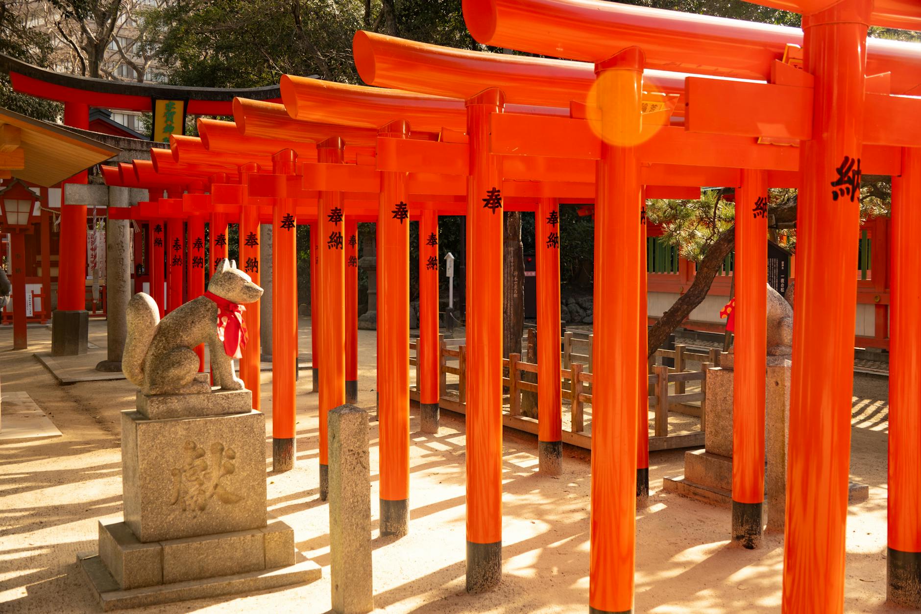 Fukuoka, cherry blossoms, Japanese food