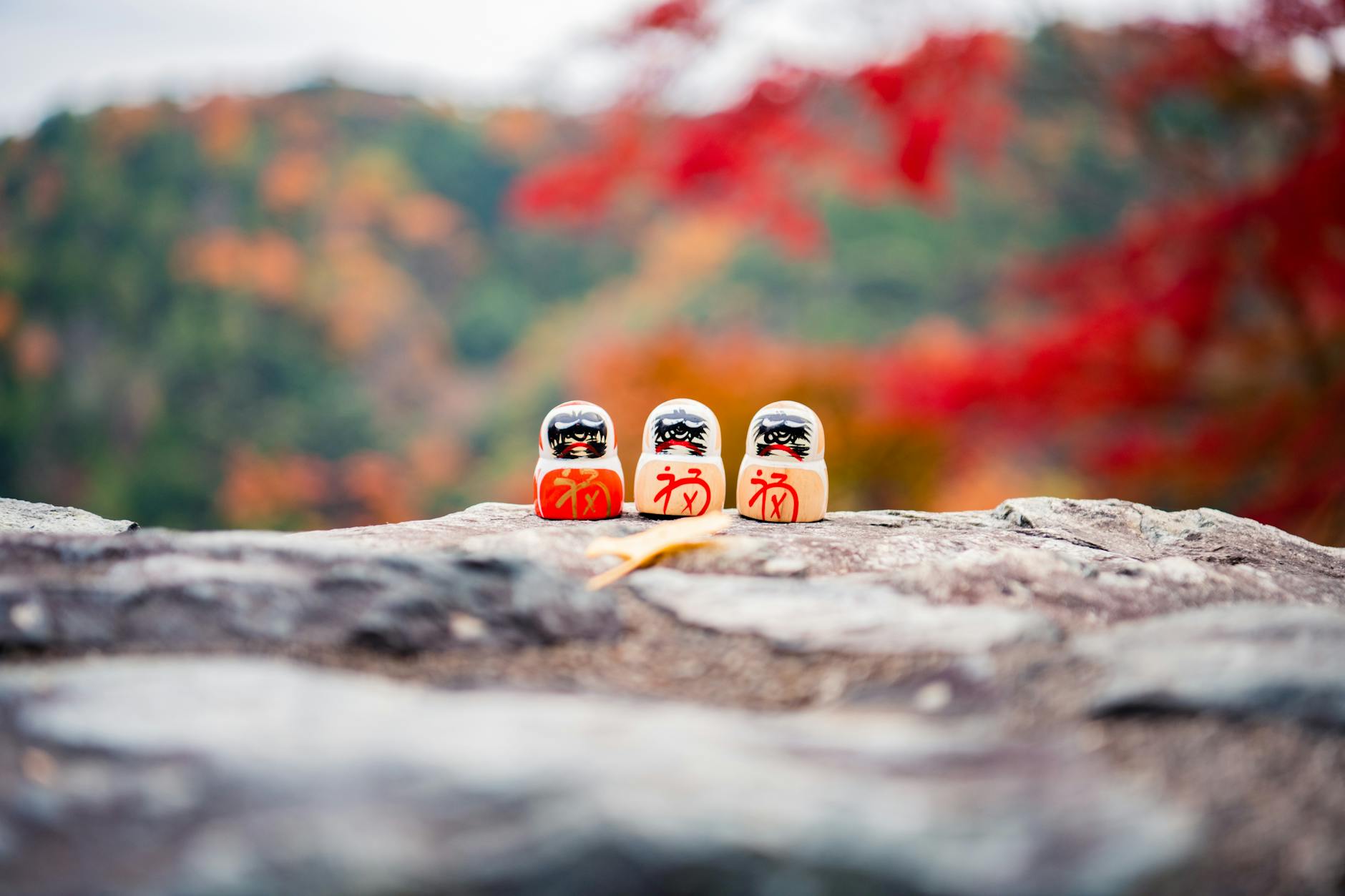 Kyoto autumn, late foliage, Shimogamo Shrine