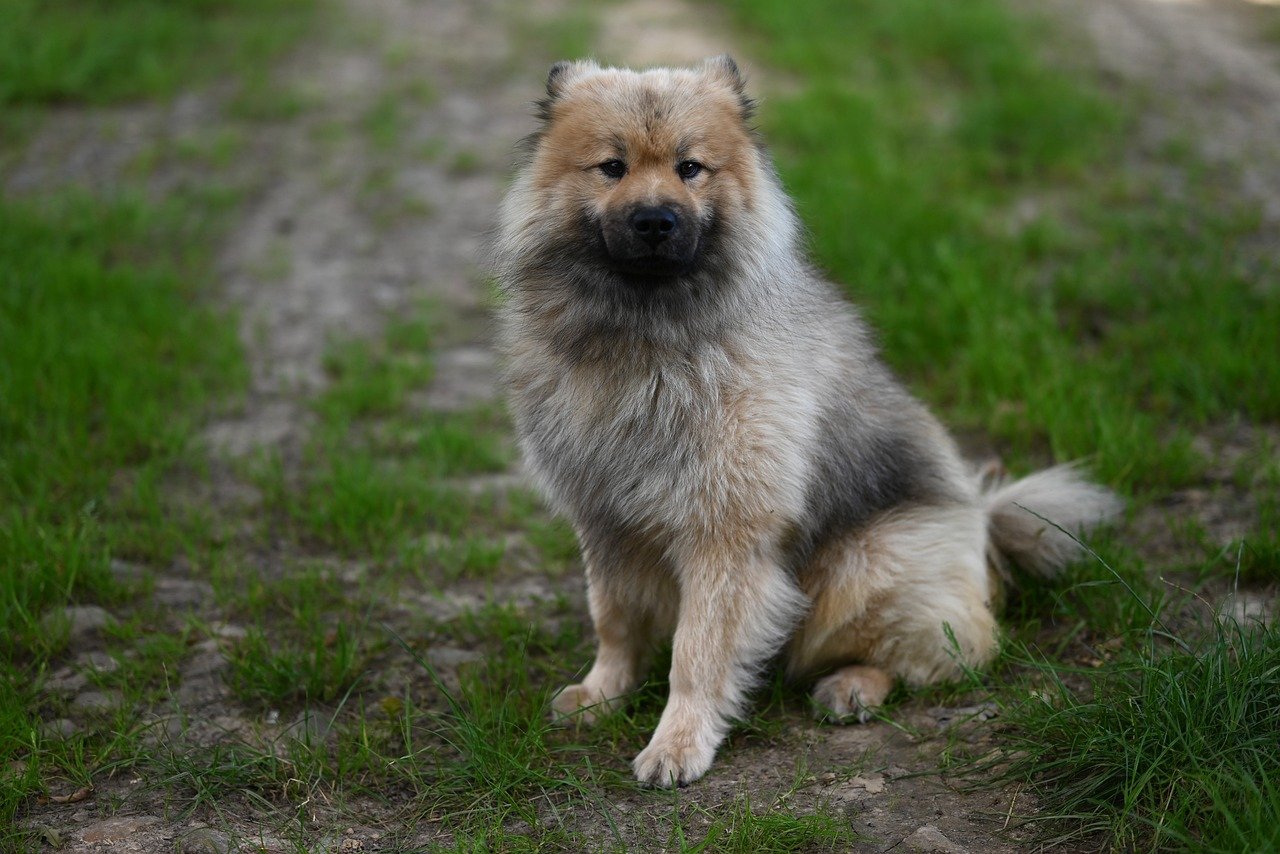 Miyashita Park, Shibuya, Tokyo