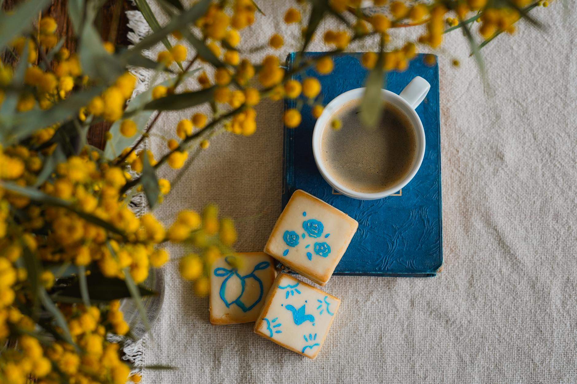 Kansai, Mimosa flowers, Spring in Japan