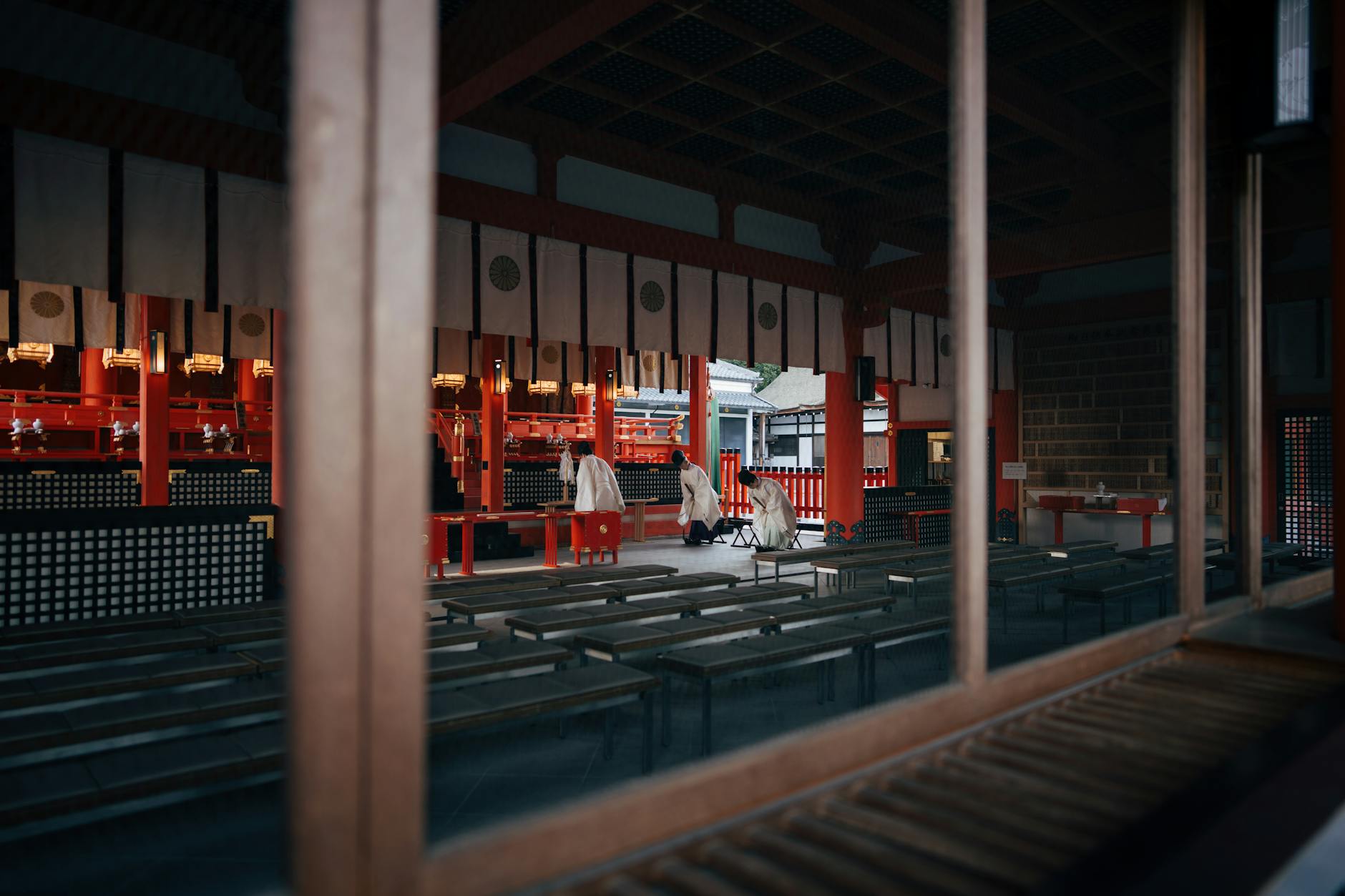 Kansai, Mimosa flowers, Spring in Japan