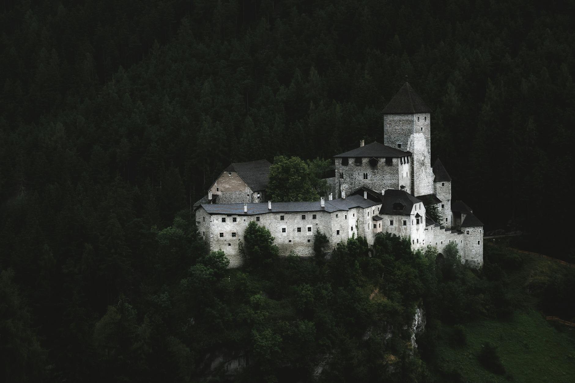 Kumamoto Castle, cherry blossoms, Japan