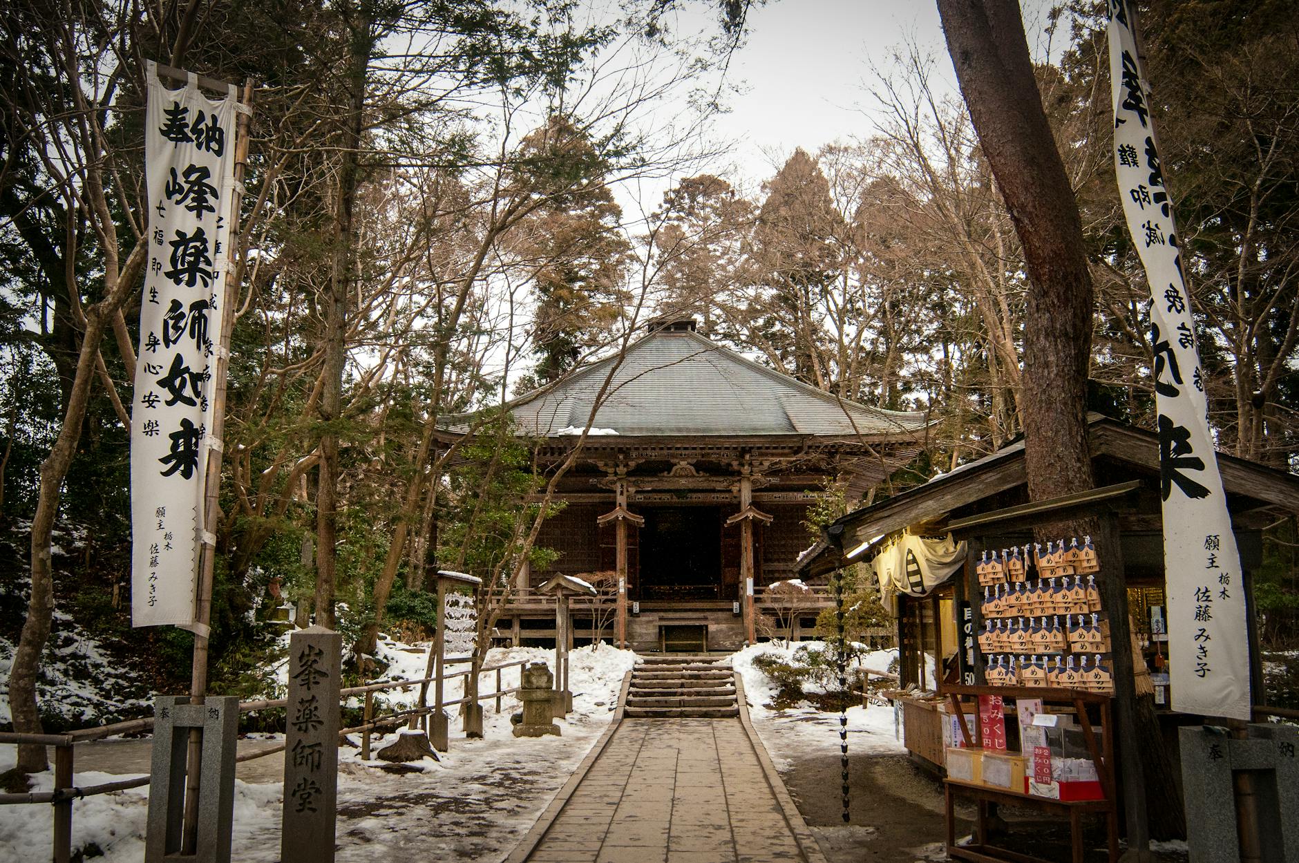 Tochigi, cherry blossoms, sakura