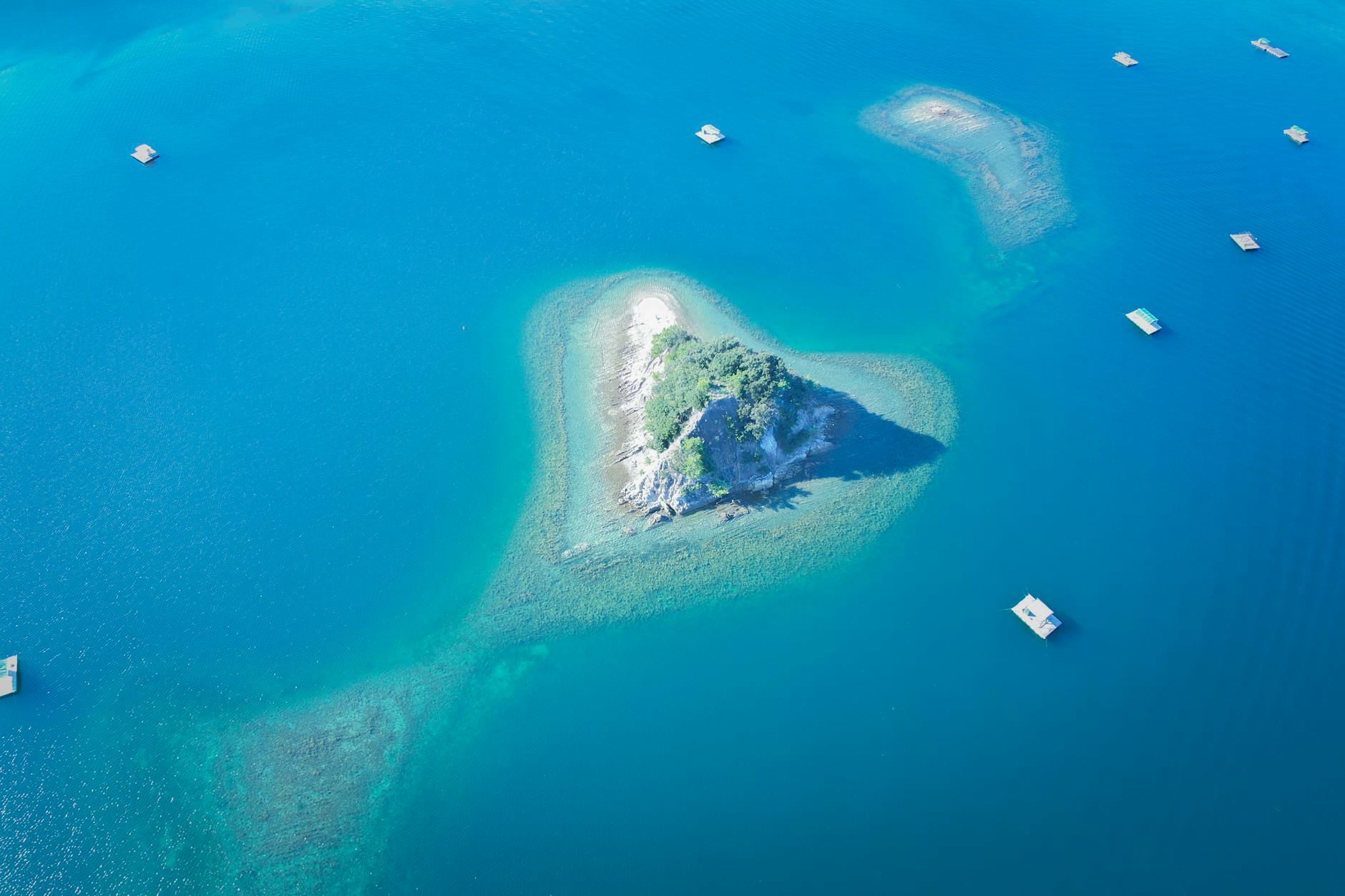 Naruto, seafood, restaurant