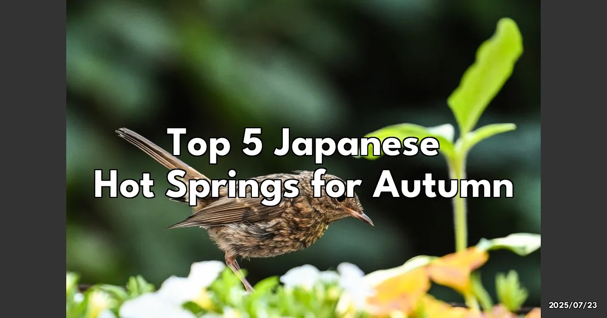 EyeCatchTitle: Discover Japan's Hidden Autumn Gems: Top 5 Hot Springs for Fall Foliage