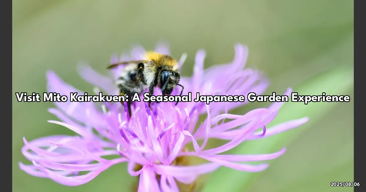 EyeCatchTitle: Why You Need to Visit Mito Kairakuen – A Garden That Changes with the Seasons