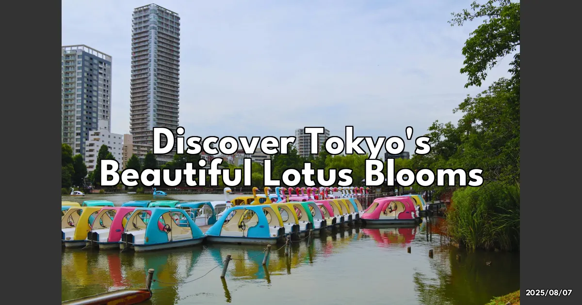 EyeCatchTitle: Chasing Tokyo's Dreamy Lotus Blooms: My Unforgettable Summer Adventure