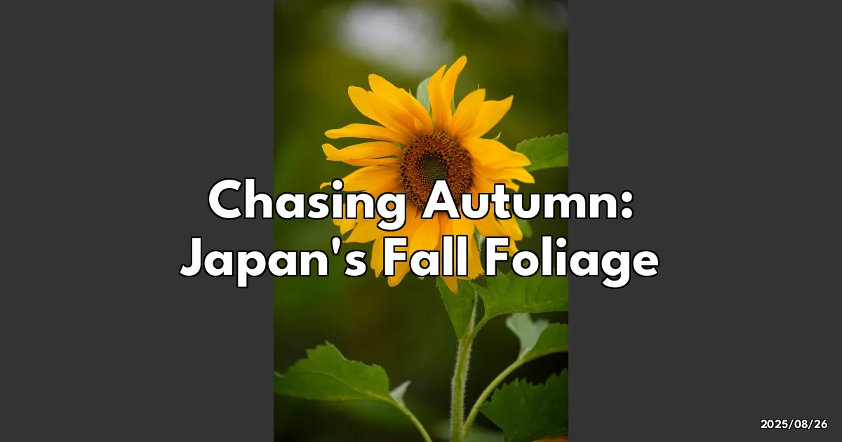EyeCatchTitle: Chasing Autumn: My Unforgettable Journey Through Japan's Most Stunning Fall Foliage