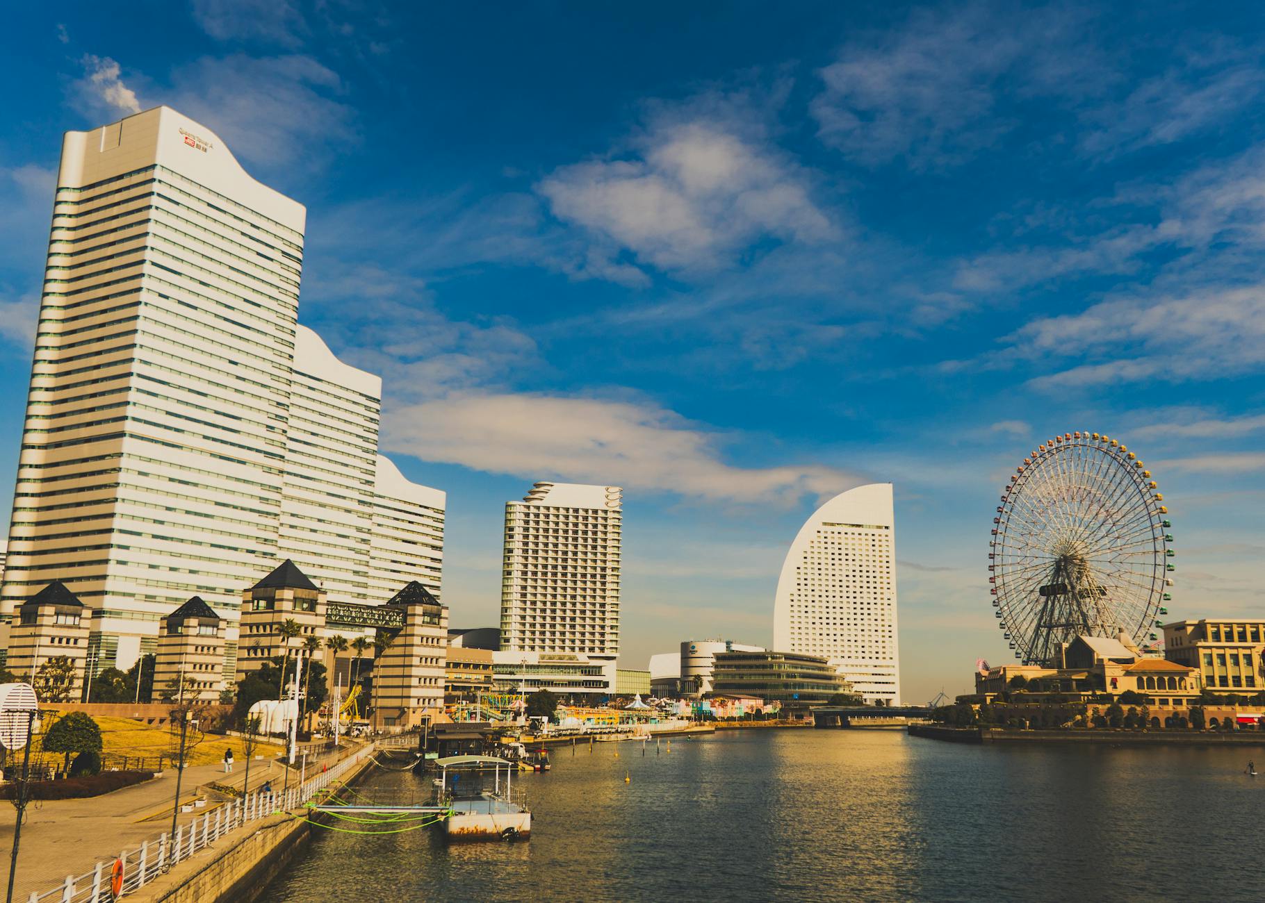 Yokohama, cherry blossoms, sakura