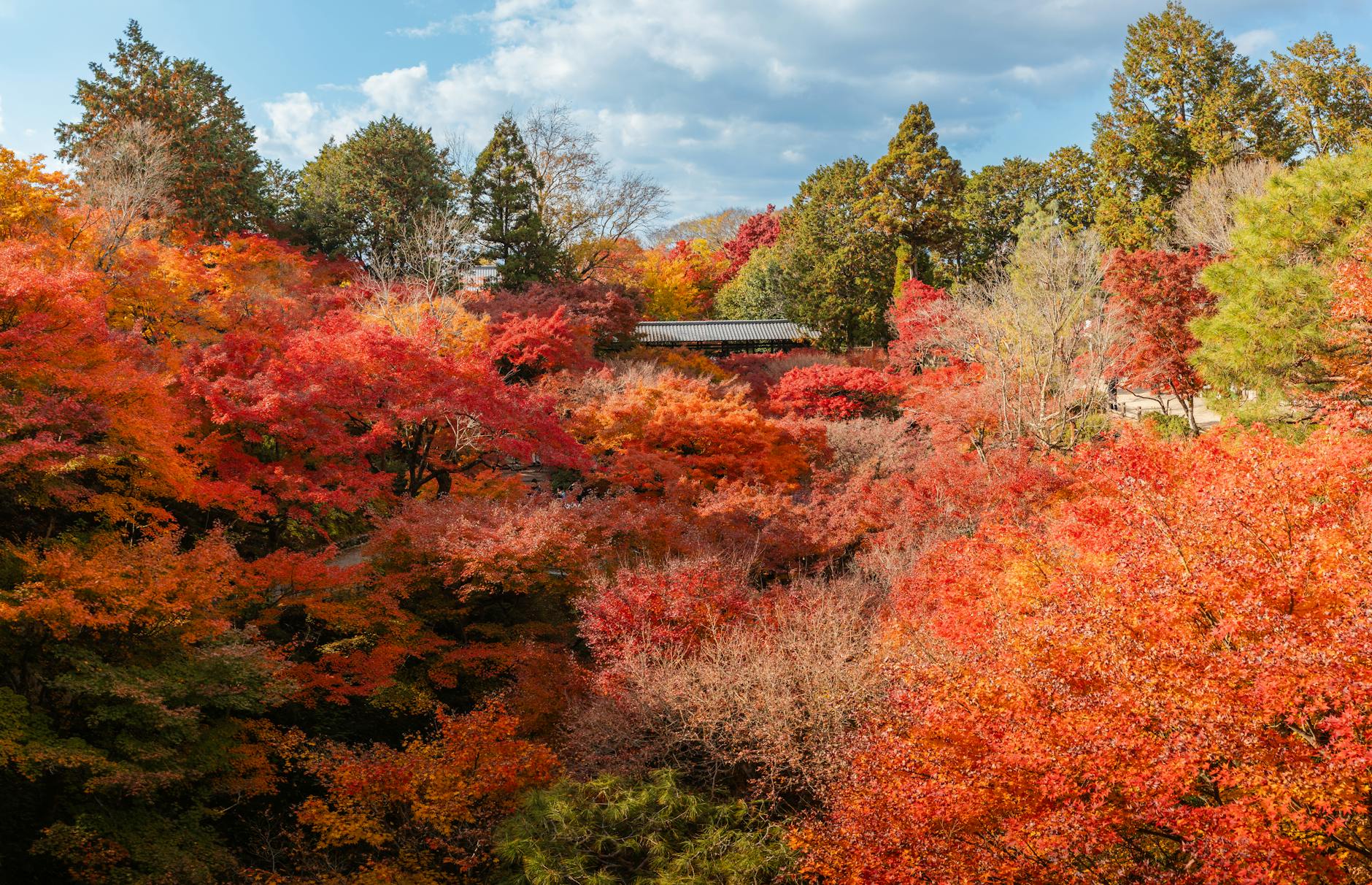 Kanto autumn, Japan foliage, scenic views