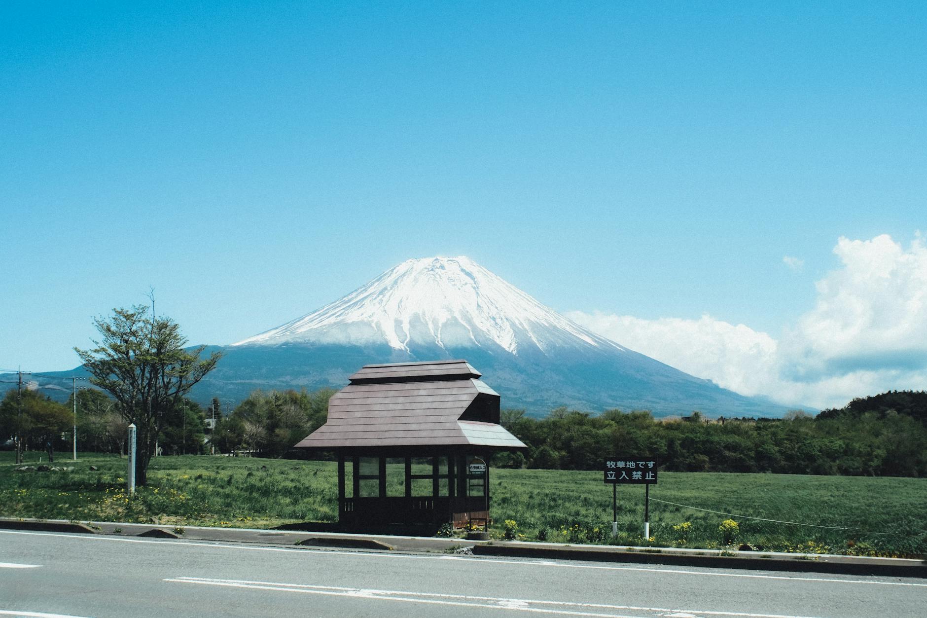 Mt. Fuji, Sakura, Kawaguchiko