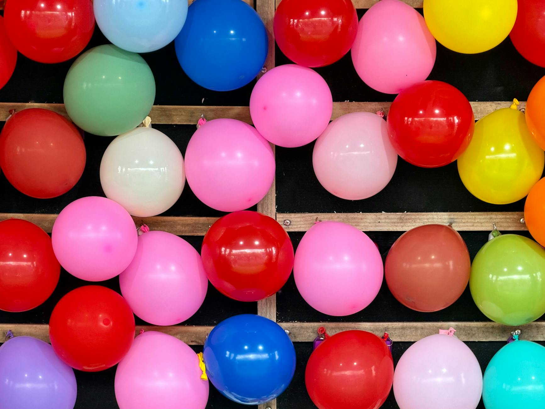 Tottori Festival, umbrella dance, cultural exchange