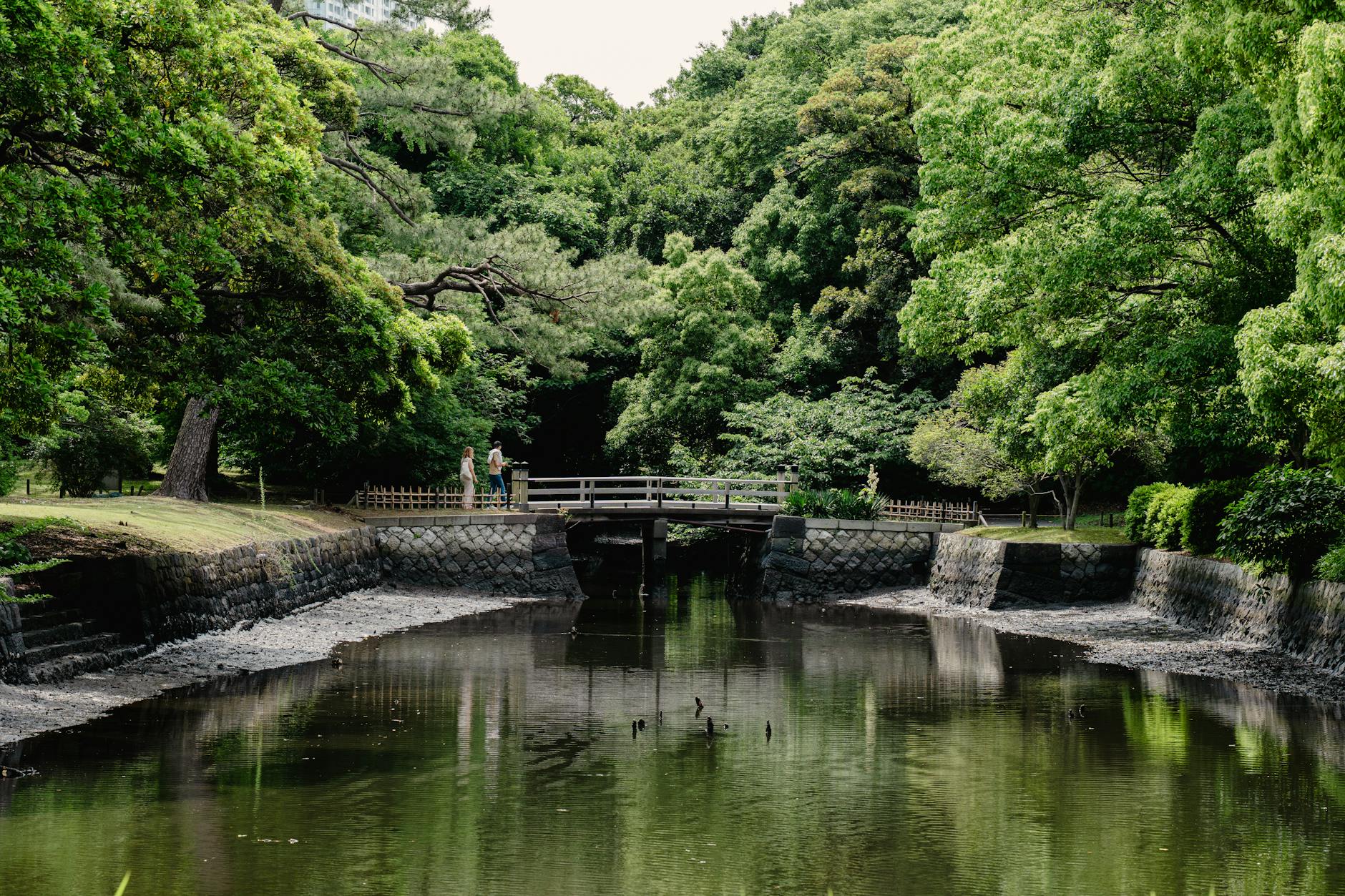 Tokyo gardens, spider lily, autumn flowers