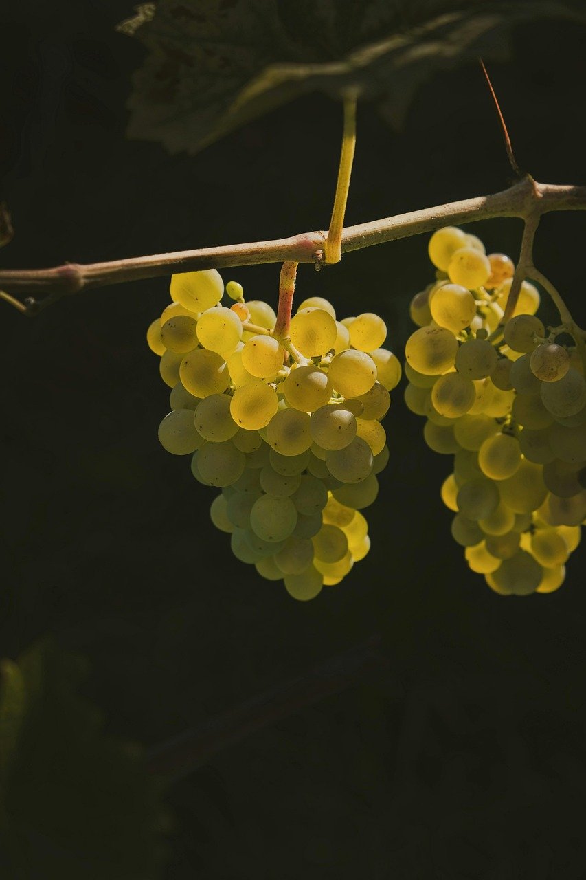 Komoro Castle, autumn leaves, walnut soba