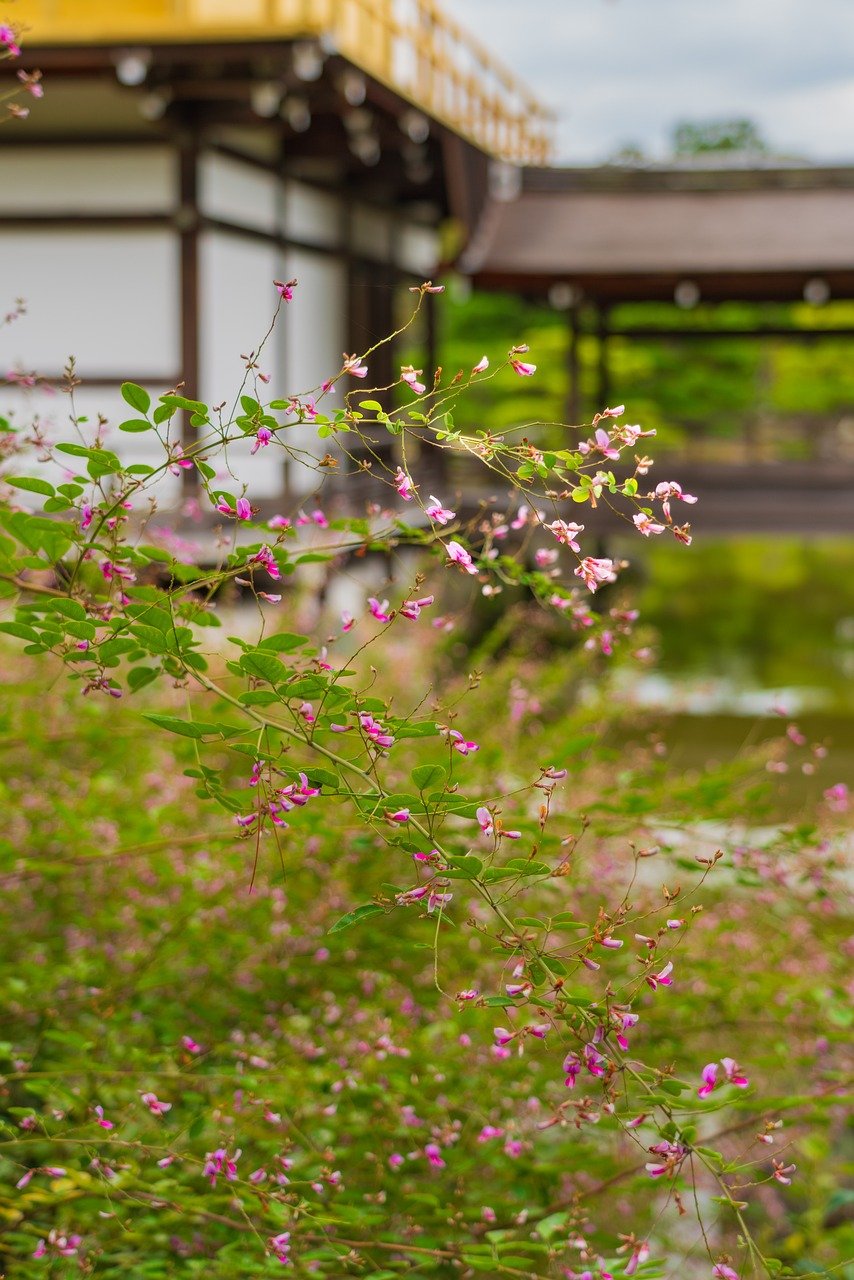 Sensoji Temple, Kyoto Temples, Japanese temples