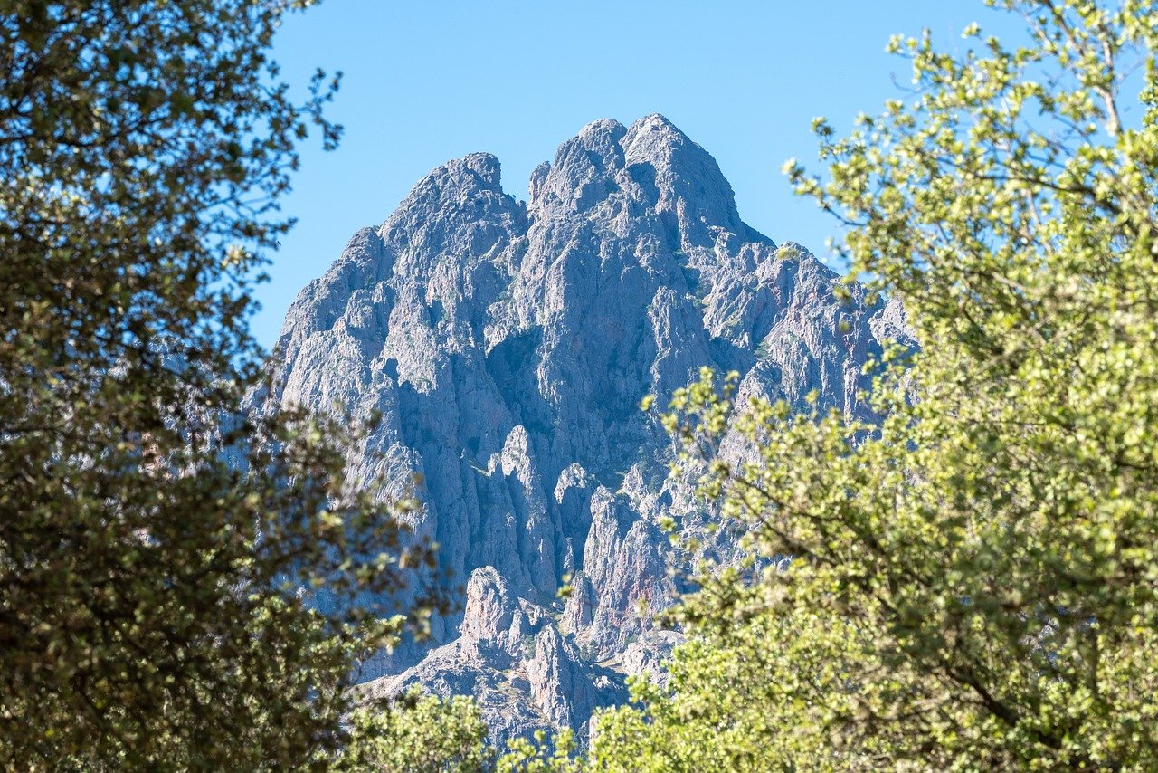 Watarase Valley Railway, autumn leaves, scenic train