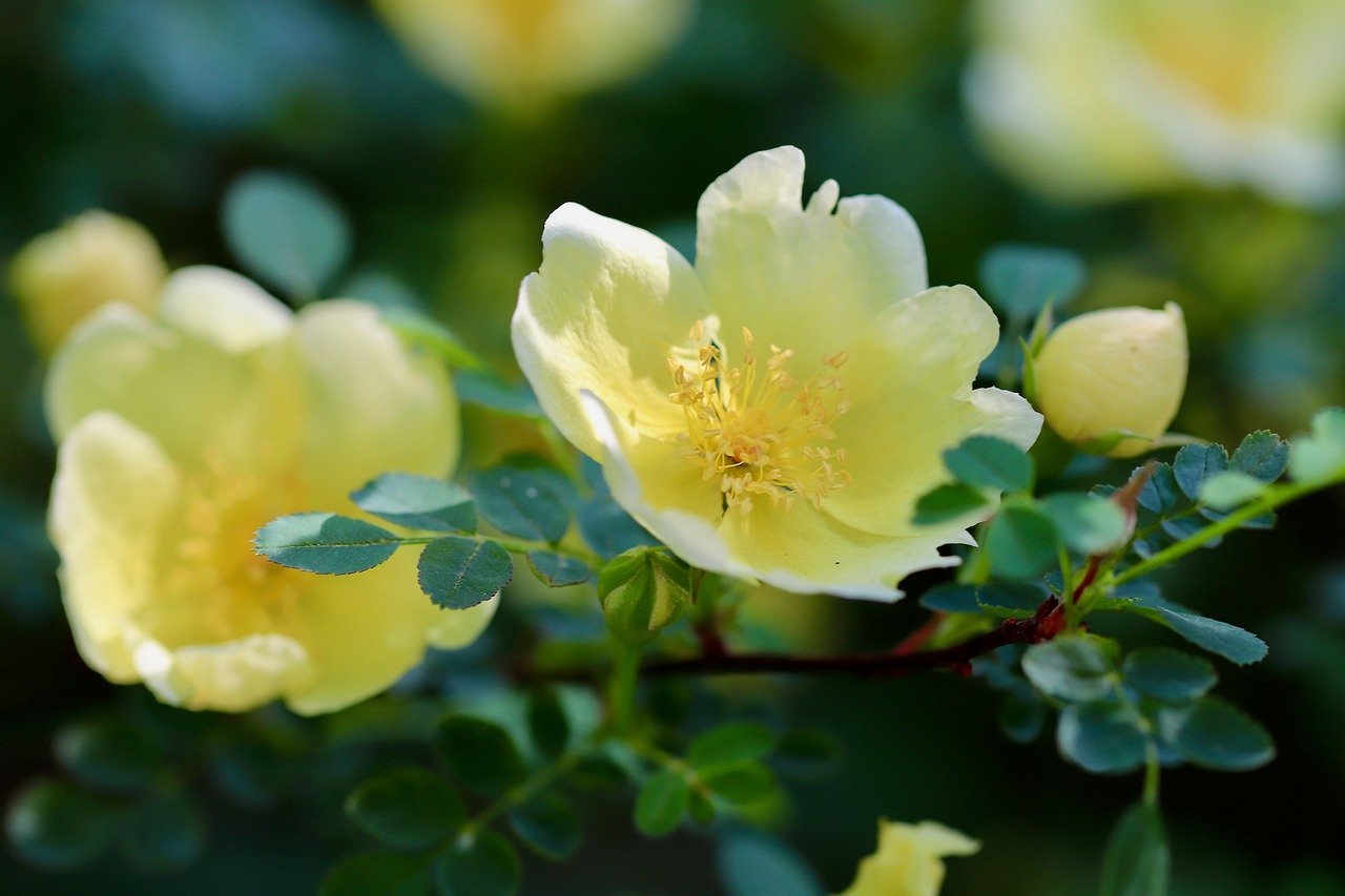 Japan, Hell-themed attractions, Zenkouji