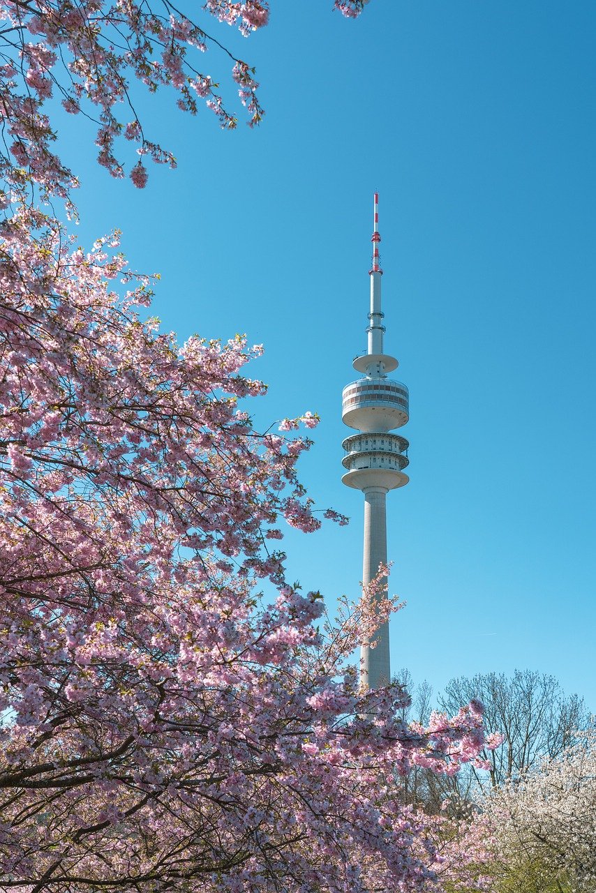 Sakura, Cherry blossoms, Meguro River