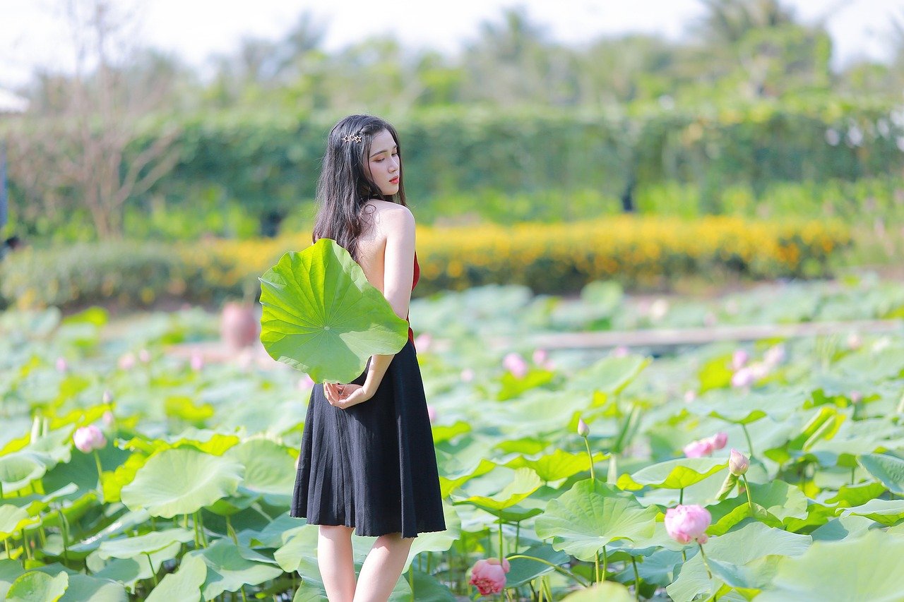 autumn leaves, Nikko, Kyoto