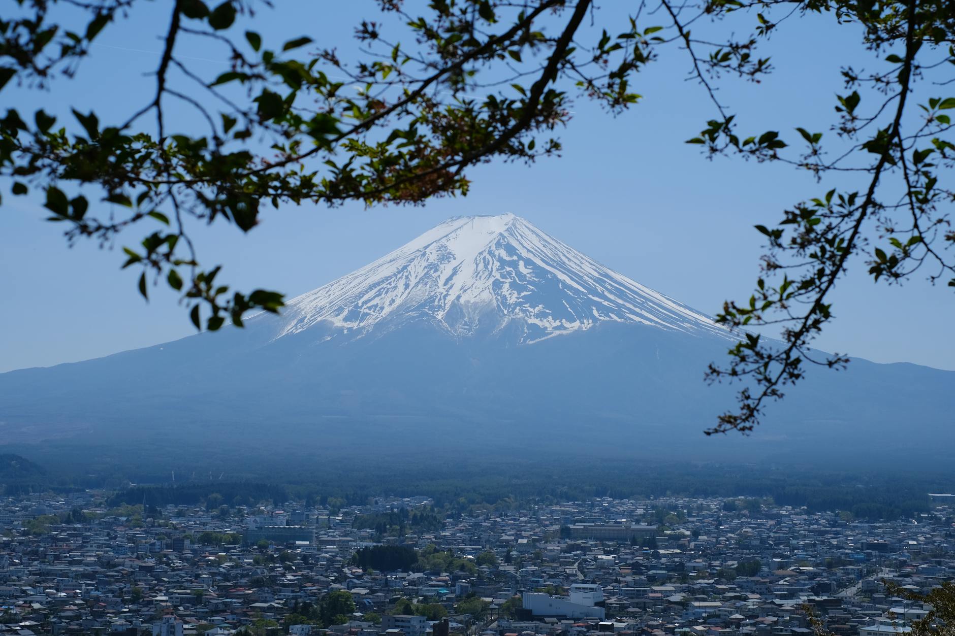 Hakone, hydrangeas, Romancecar