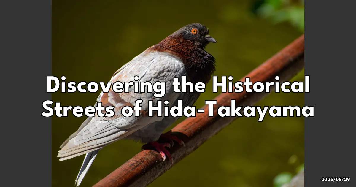 EyeCatchTitle: Unveiling the Timeless Charm of Hida-Takayama's Streets