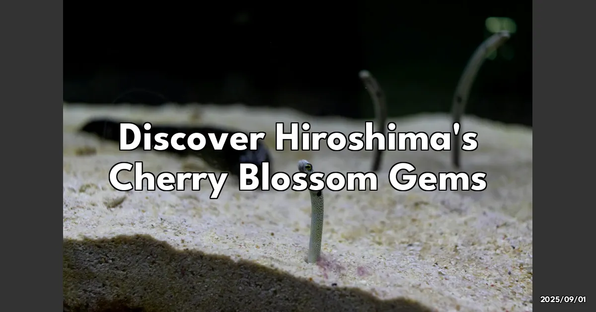EyeCatchTitle: Discovering Hiroshima's Hidden Cherry Blossom Gems: A Local's Personal Take