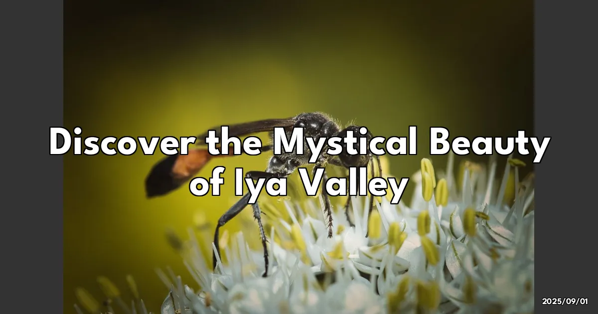 EyeCatchTitle: Discovering the Hidden Enchantment of Iya Valley: A Journey Worth Every Step