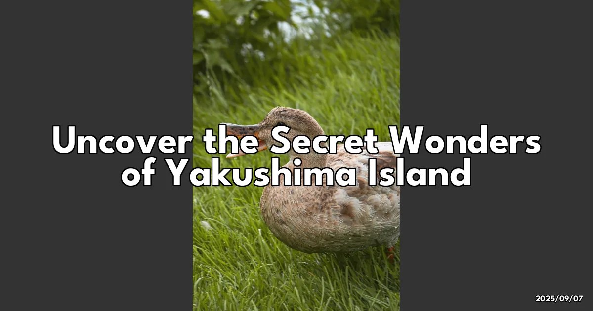 EyeCatchTitle: Discovering the Enchanting Mysteries of Yakushima: A Nature Lover's Dream