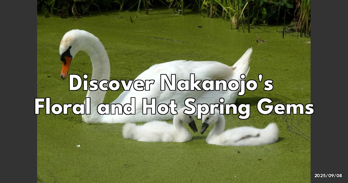 EyeCatchTitle: Discovering Hidden Floral Gems in Nakanojo: A Journey Through Flowers and Hot Springs