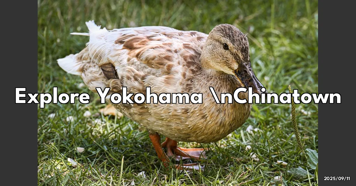 EyeCatchTitle: Yokohama Chinatown: A Flavorful Adventure You Just Can't Miss!