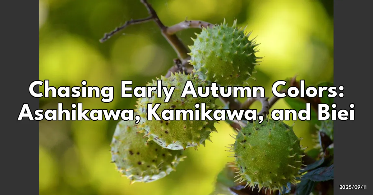 EyeCatchTitle: Chasing Early Autumn Colors: My Adventure in Asahikawa, Kamikawa, and Biei