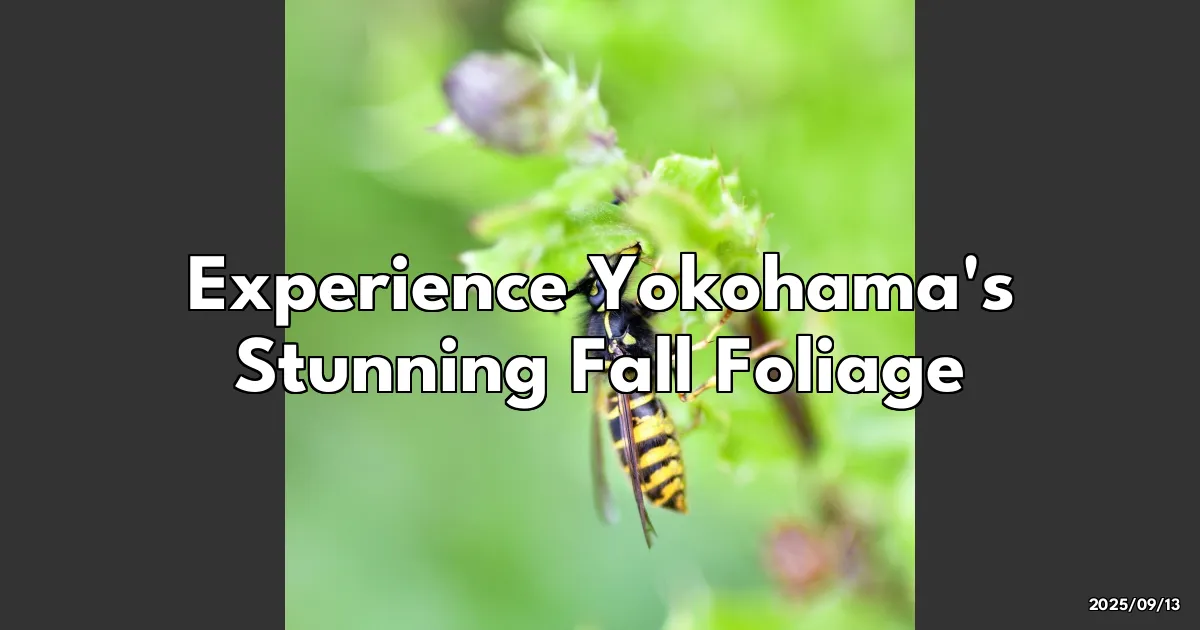 EyeCatchTitle: Chasing Autumn Dreams in Yokohama: 7 Must-Visit Fall Foliage Spots!