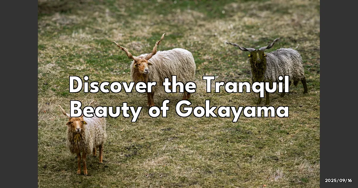 EyeCatchTitle: Discovering the Hidden Charm of Gokayama's Tranquility