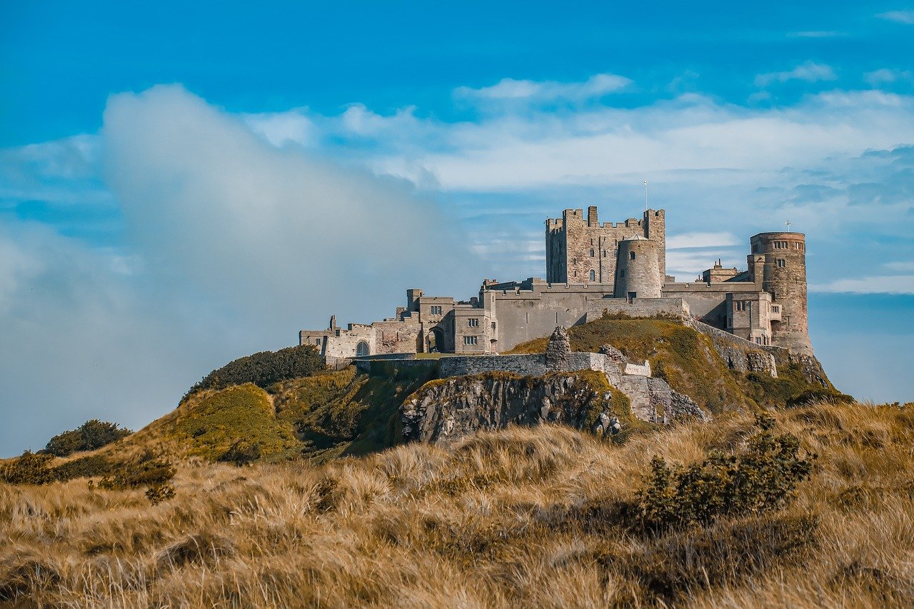 Matsue Castle, cherry blossoms, sakura