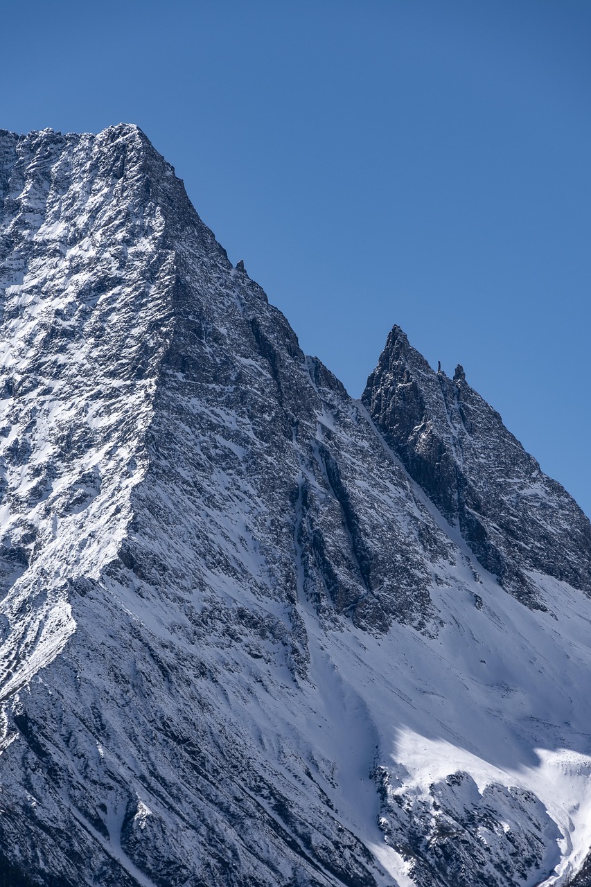 Aichi Prefecture, Nagoya Castle, Japanese cuisine