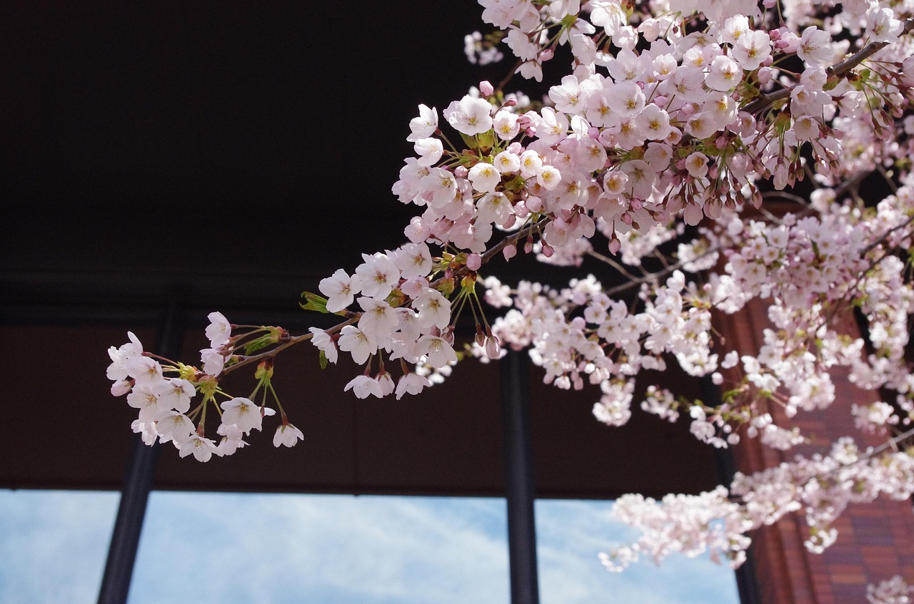 Takino Suzuran Park, Sapporo, Japan