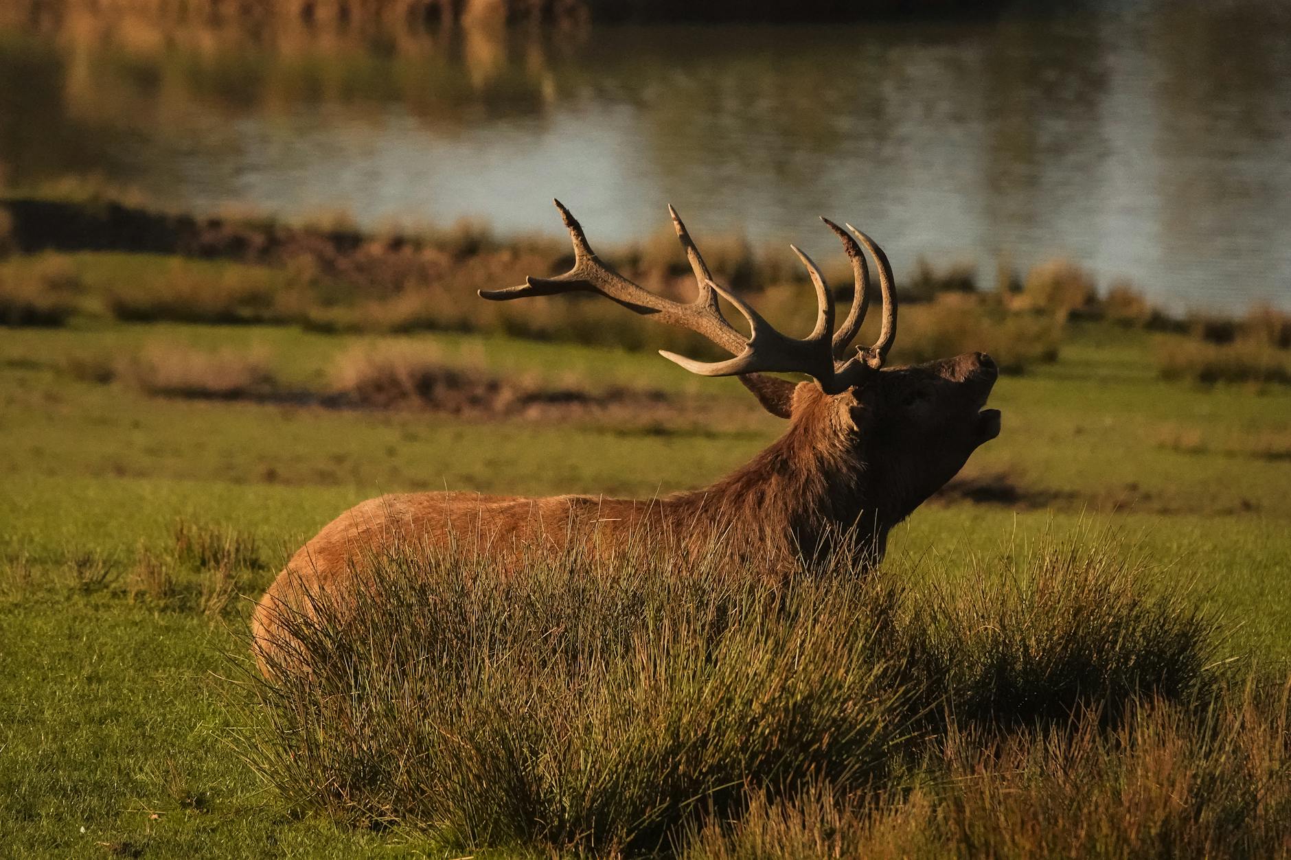 Takino Suzuran Park, Sapporo, Japan