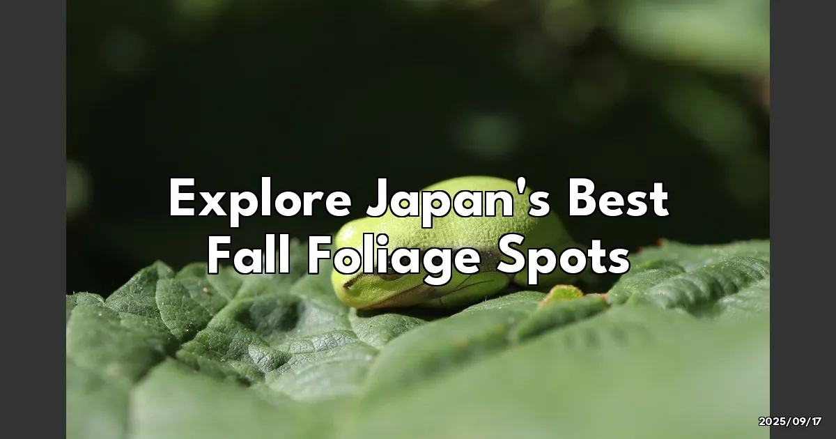 EyeCatchTitle: Chasing Fall Foliage: My Leafy Adventure Across Japan's Hidden Gems