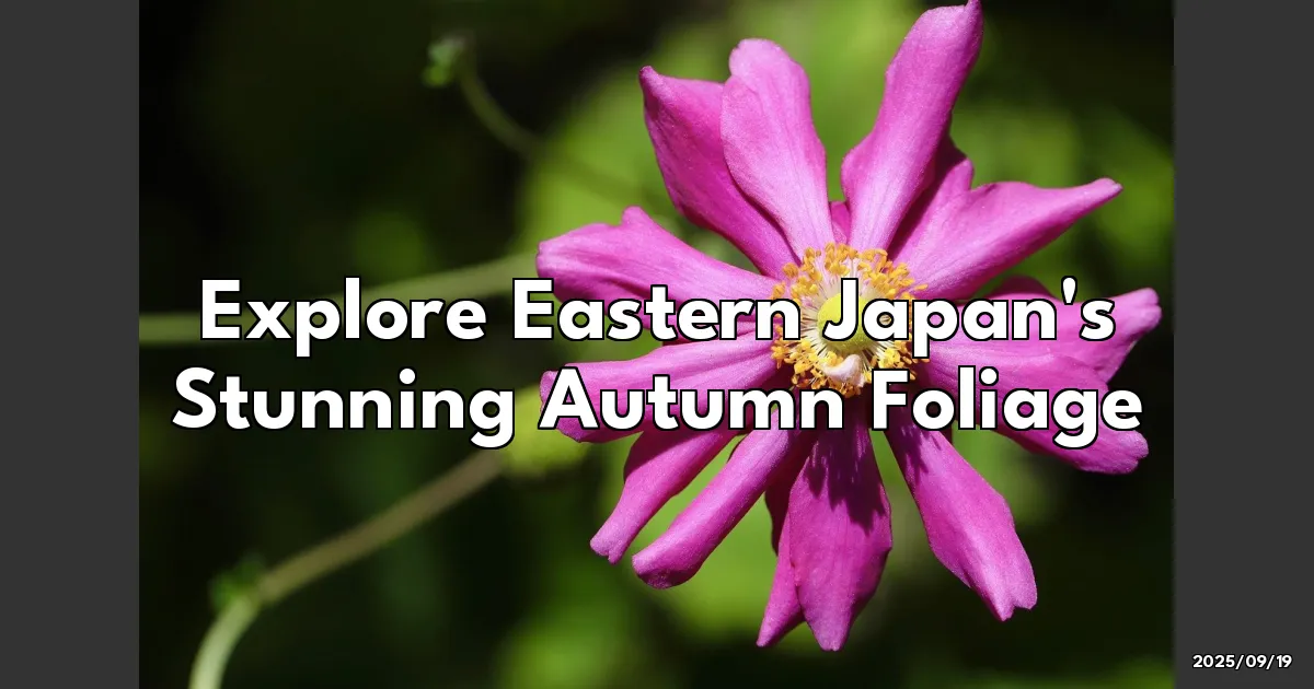 EyeCatchTitle: Chasing the Hues of Autumn: My Journey through Eastern Japan's Best Fall Foliage Spots!