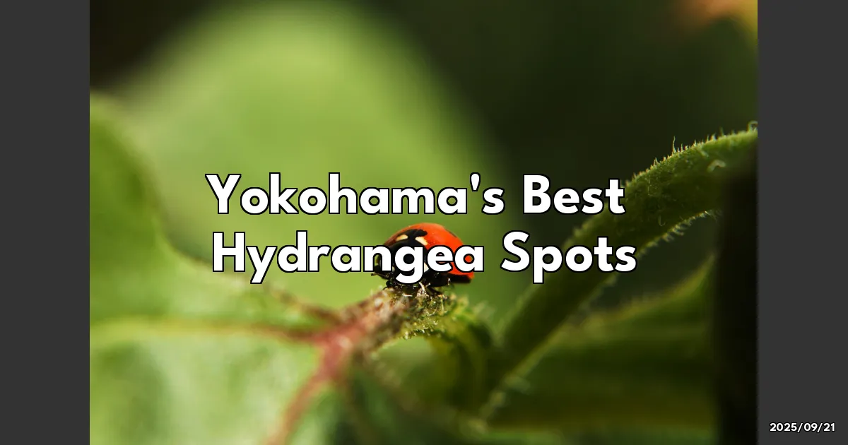 EyeCatchTitle: Discovering Yokohama's Hidden Hydrangea Gems — A Must-Visit!