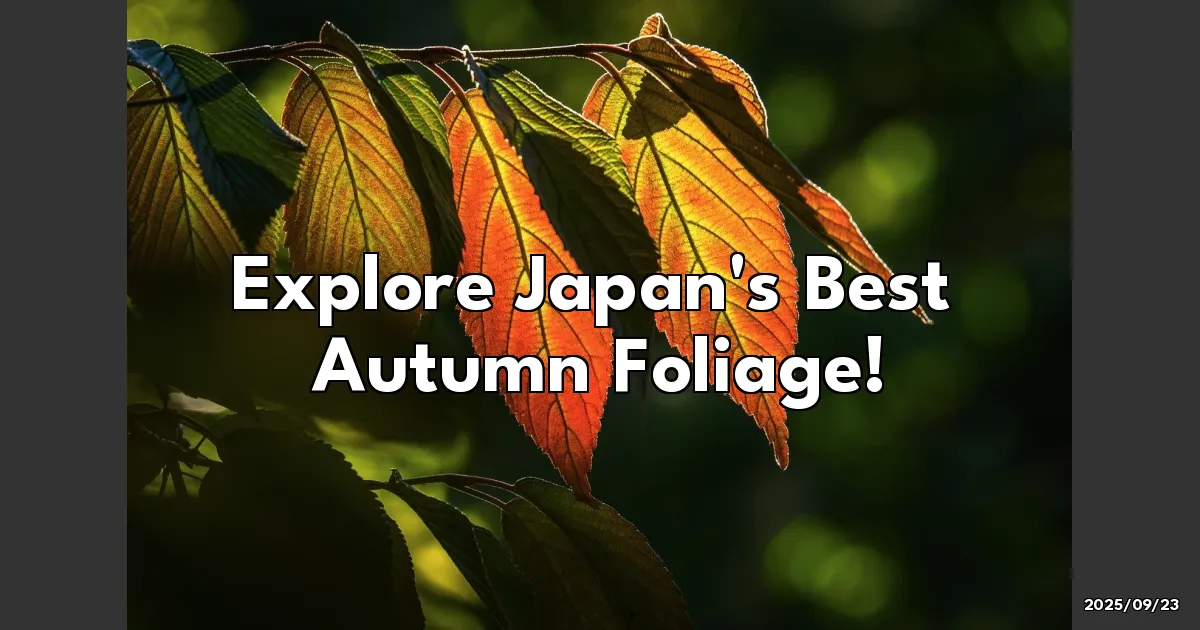 EyeCatchTitle: Autumn Magic: Discover the Best Fall Foliage Spots in Japan!
