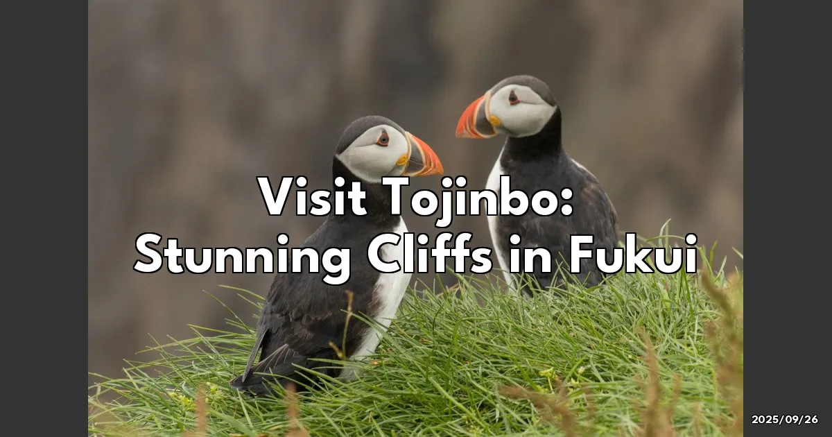 EyeCatchTitle: Why You Absolutely Need to Visit the Stunning Cliffs of Tojinbo in Fukui!